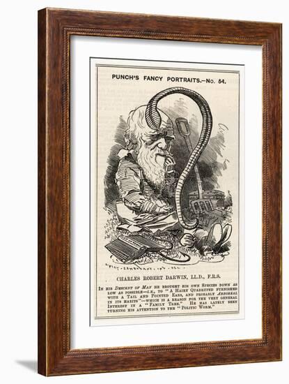 Charles Darwin, after Charting the "Descent of Man" He Goes Even Lower and Studies Worms-null-Framed Art Print