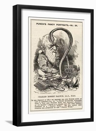 Charles Darwin, after Charting the "Descent of Man" He Goes Even Lower and Studies Worms-null-Framed Art Print