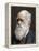 Charles Darwin, British Naturalist, 1878-Lock & Whitfield-Framed Premier Image Canvas