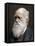 Charles Darwin, British Naturalist, 1878-Lock & Whitfield-Framed Premier Image Canvas