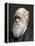 Charles Darwin, British Naturalist, 1878-Lock & Whitfield-Framed Premier Image Canvas