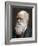 Charles Darwin, British Naturalist, 1878-Lock & Whitfield-Framed Photographic Print