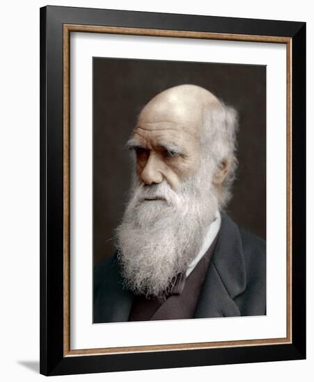 Charles Darwin, British Naturalist, 1878-Lock & Whitfield-Framed Photographic Print