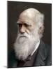 Charles Darwin, British Naturalist, 1878-Lock & Whitfield-Mounted Photographic Print