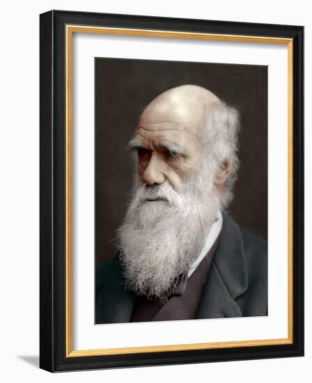 Charles Darwin, British Naturalist, 1878-Lock & Whitfield-Framed Photographic Print