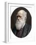 Charles Darwin, British Naturalist, 1878-Lock & Whitfield-Framed Photographic Print