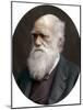 Charles Darwin, British Naturalist, 1878-Lock & Whitfield-Mounted Photographic Print