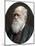 Charles Darwin, British Naturalist, 1878-Lock & Whitfield-Mounted Photographic Print