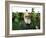 Charles Darwin, British Naturalist-SMETEK-Framed Photographic Print