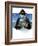 Charles Darwin, British Naturalist-SMETEK-Framed Photographic Print