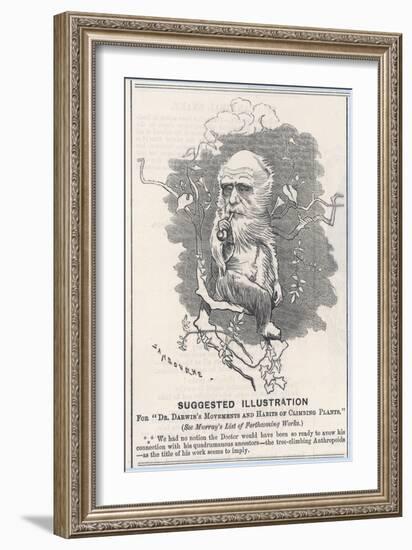 Charles Darwin, Depicted as a Tree-Climbing Anthropoid-null-Framed Art Print