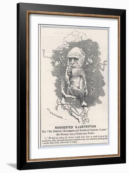 Charles Darwin, Depicted as a Tree-Climbing Anthropoid-null-Framed Art Print