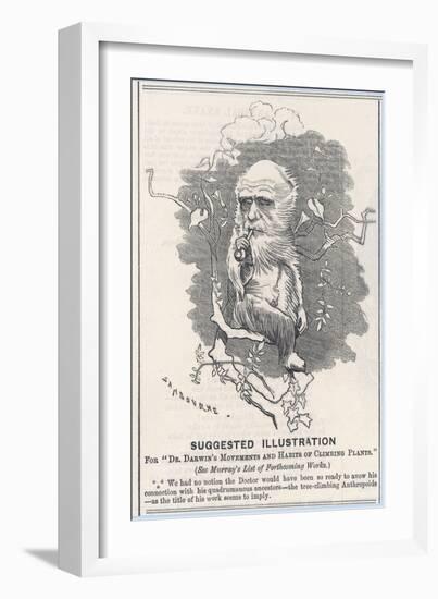 Charles Darwin, Depicted as a Tree-Climbing Anthropoid-null-Framed Art Print