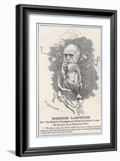 Charles Darwin, Depicted as a Tree-Climbing Anthropoid-null-Framed Art Print