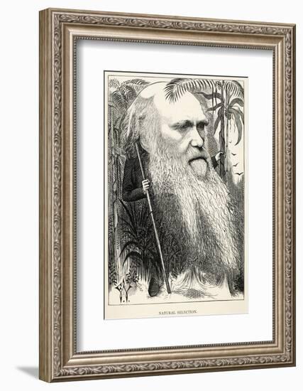 Charles Darwin, Depicted as a Wild Man of the Jungle-F. Waddy-Framed Photographic Print