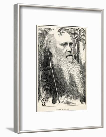 Charles Darwin, Depicted as a Wild Man of the Jungle-F. Waddy-Framed Photographic Print