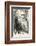 Charles Darwin, Depicted as a Wild Man of the Jungle-F. Waddy-Framed Photographic Print