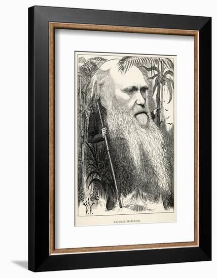 Charles Darwin, Depicted as a Wild Man of the Jungle-F. Waddy-Framed Photographic Print