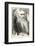 Charles Darwin, Depicted as a Wild Man of the Jungle-F. Waddy-Framed Photographic Print