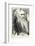 Charles Darwin, Depicted as a Wild Man of the Jungle-F. Waddy-Framed Photographic Print