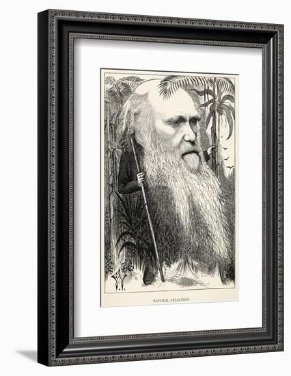 Charles Darwin, Depicted as a Wild Man of the Jungle-F. Waddy-Framed Photographic Print