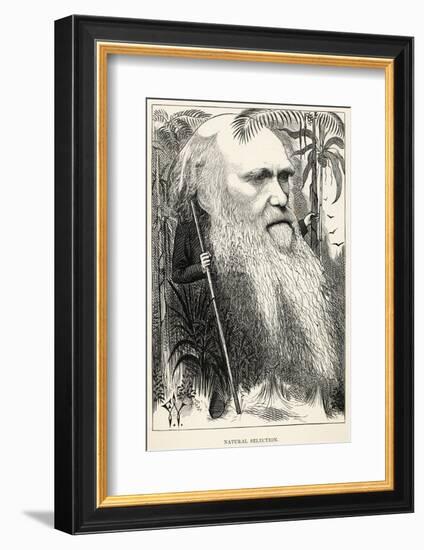 Charles Darwin, Depicted as a Wild Man of the Jungle-F. Waddy-Framed Photographic Print