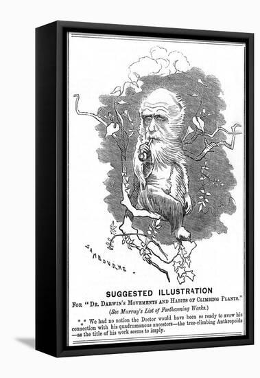 Charles Darwin, English Naturalist, 1875-Edward Linley Sambourne-Framed Premier Image Canvas