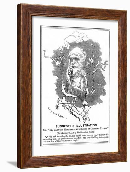 Charles Darwin, English Naturalist, 1875-Edward Linley Sambourne-Framed Giclee Print