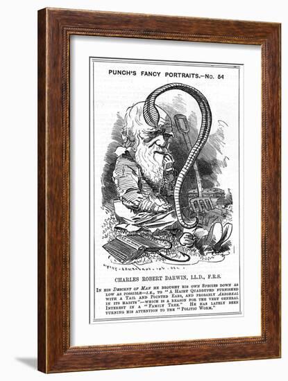 Charles Darwin, English Naturalist, 1881-Edward Linley Sambourne-Framed Giclee Print