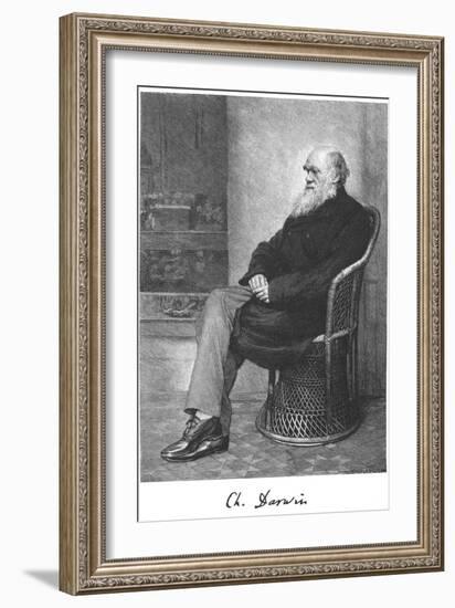 Charles Darwin, English Naturalist, 1883-null-Framed Giclee Print