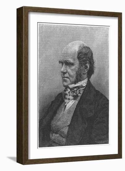 Charles Darwin, English Naturalist, 1884-null-Framed Giclee Print