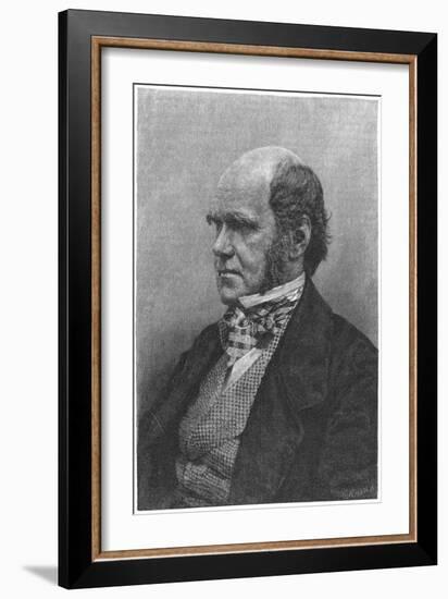 Charles Darwin, English Naturalist, 1884-null-Framed Giclee Print