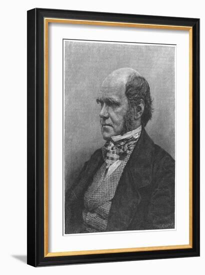 Charles Darwin, English Naturalist, 1884-null-Framed Giclee Print