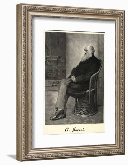 Charles Darwin English Naturalist Sitting in a Chair-Thomas Johnson-Framed Photographic Print