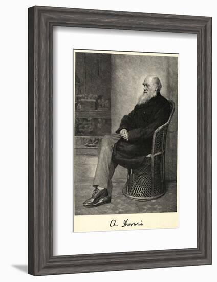 Charles Darwin English Naturalist Sitting in a Chair-Thomas Johnson-Framed Photographic Print