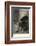 Charles Darwin English Naturalist Sitting in a Chair-Thomas Johnson-Framed Photographic Print