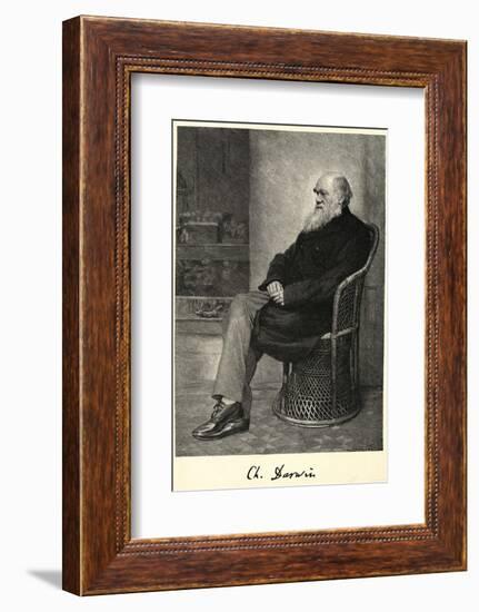 Charles Darwin English Naturalist Sitting in a Chair-Thomas Johnson-Framed Photographic Print