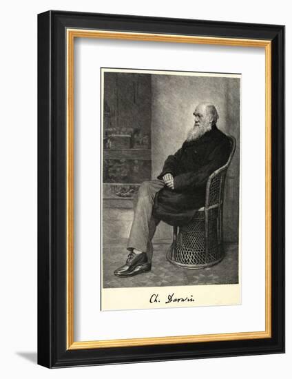 Charles Darwin English Naturalist Sitting in a Chair-Thomas Johnson-Framed Photographic Print