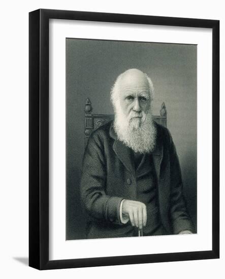 Charles Darwin, English Naturalist-Science Source-Framed Giclee Print