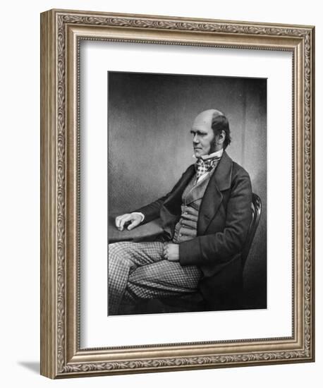 Charles Darwin (Engraving)-Maull & Fox-Framed Giclee Print