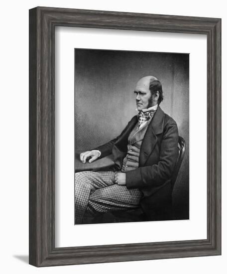 Charles Darwin (Engraving)-Maull & Fox-Framed Giclee Print