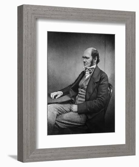 Charles Darwin (Engraving)-Maull & Fox-Framed Giclee Print