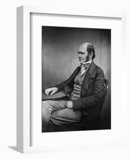 Charles Darwin (Engraving)-Maull & Fox-Framed Giclee Print