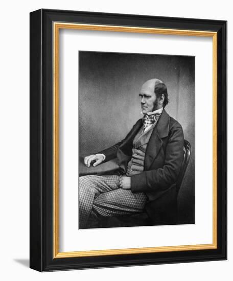 Charles Darwin (Engraving)-Maull & Fox-Framed Giclee Print