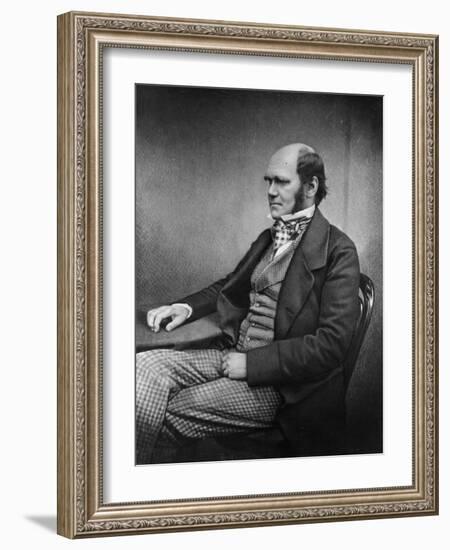 Charles Darwin (Engraving)-Maull & Fox-Framed Giclee Print