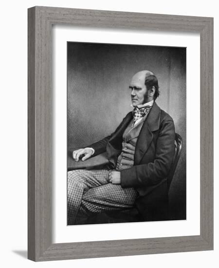 Charles Darwin (Engraving)-Maull & Fox-Framed Giclee Print