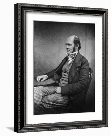 Charles Darwin (Engraving)-Maull & Fox-Framed Giclee Print