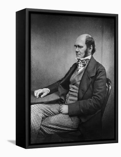 Charles Darwin (Engraving)-Maull & Fox-Framed Premier Image Canvas