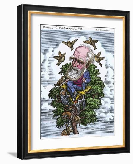 Charles Darwin In His Evolutionary Tree-Bill Sanderson-Framed Photographic Print