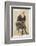 Charles Darwin Naturalist-Spy (Leslie M. Ward)-Framed Photographic Print